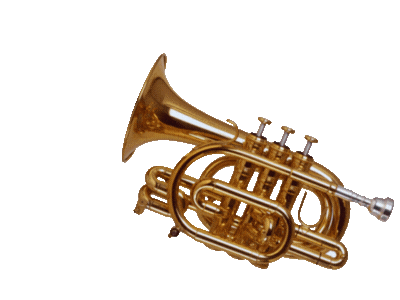 _trompette droite -2025